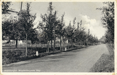 13637 Gezicht in de Woudenbergseweg met rijen loofbomen te Maarsbergen (gemeente Maarn) uit het noorden. N.B. De ...